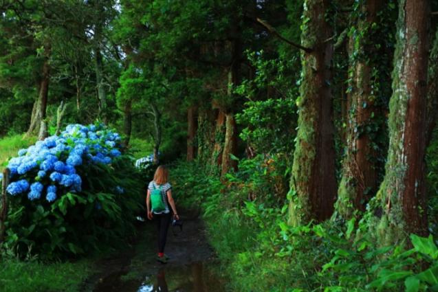 By The Sea Azores リベイラ・グランデ エクステリア 写真